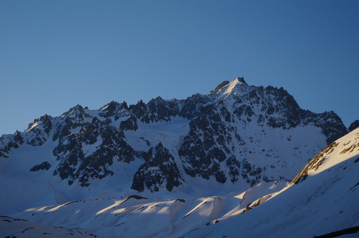 Agneaux avec une calotte bien en glace