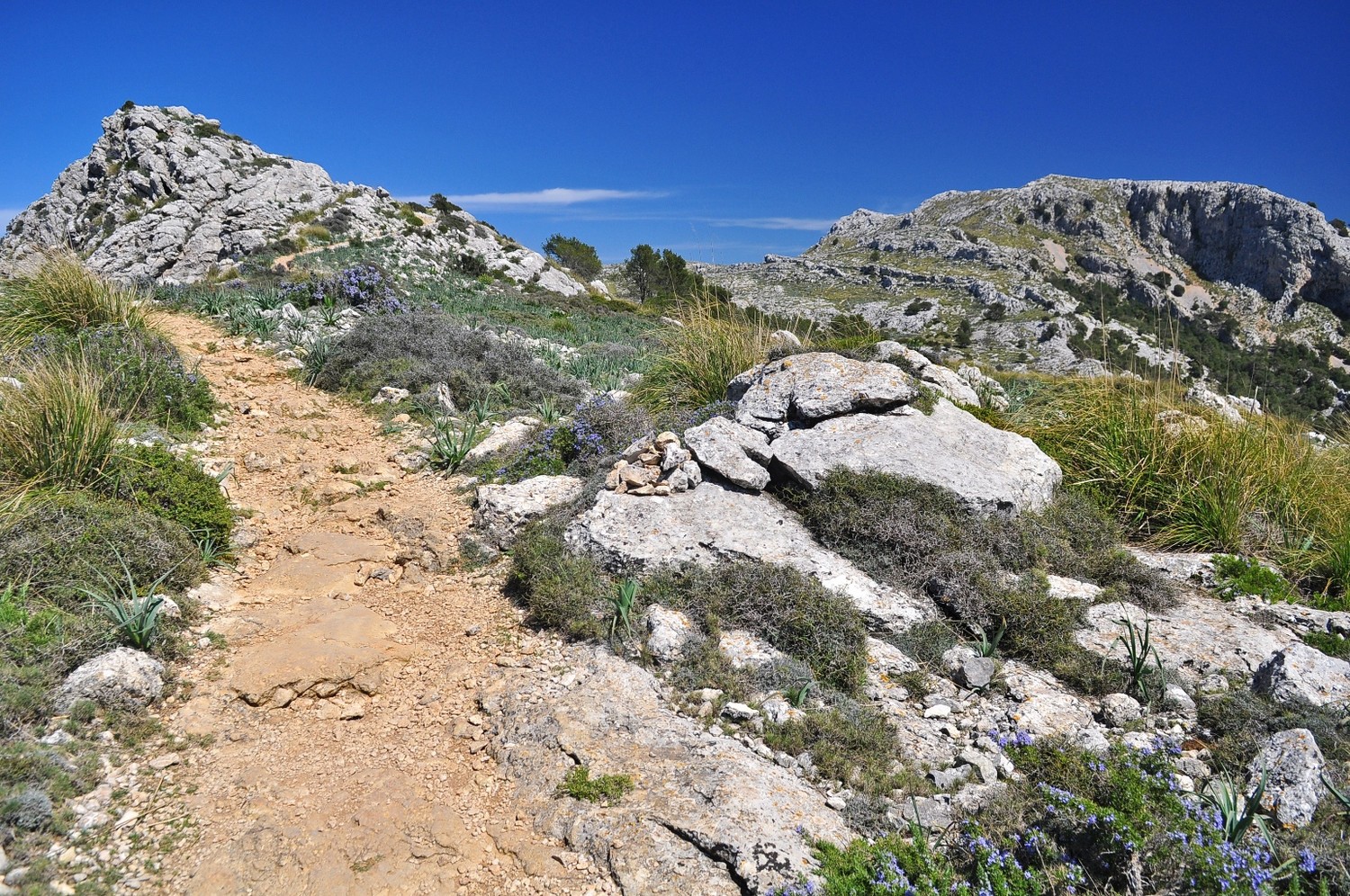puig roig en vue (à droite)