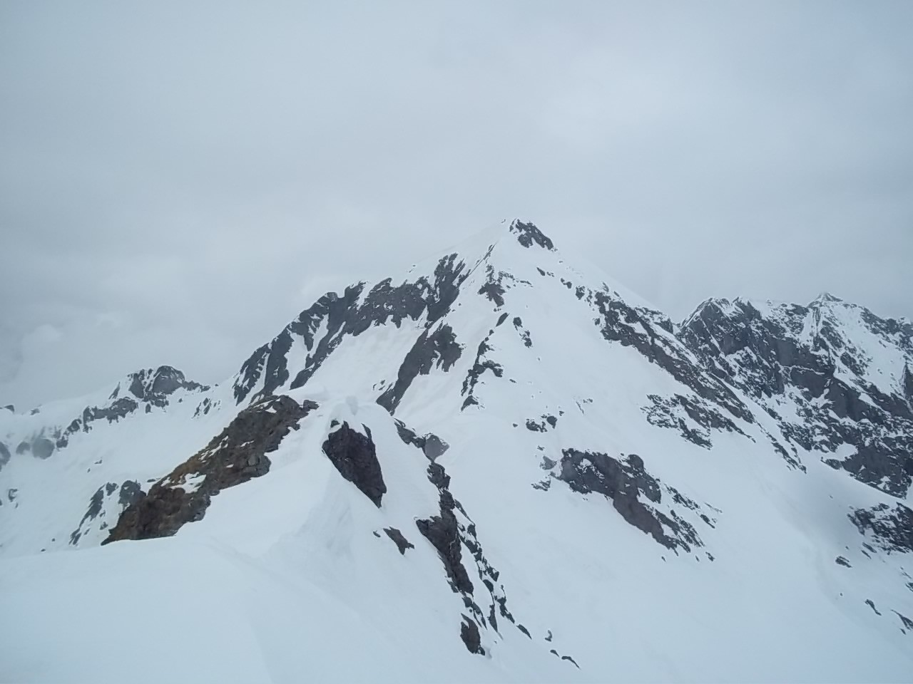 in vetta