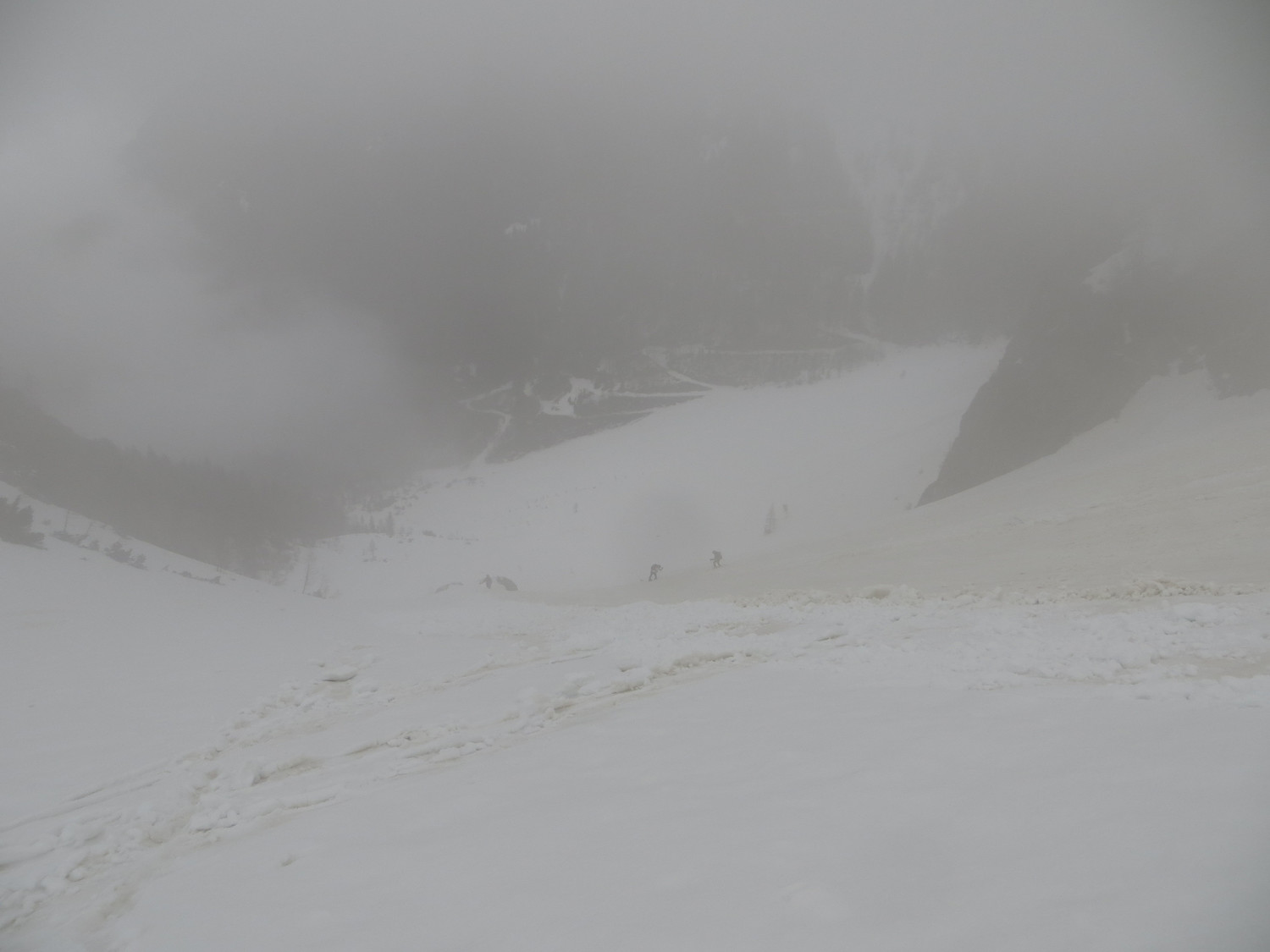 Foggy