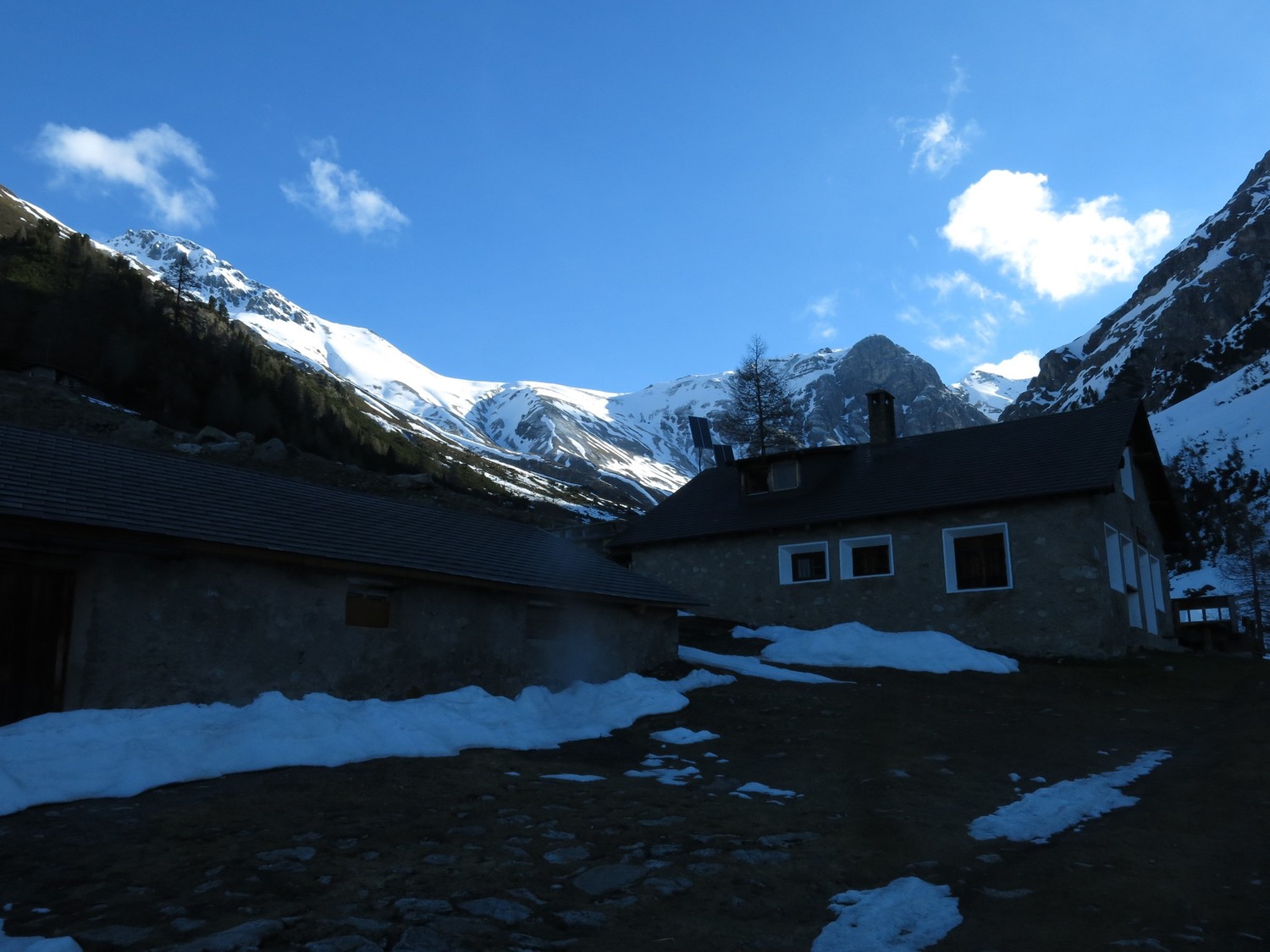 Alpage de Laschadura, 2000m.
