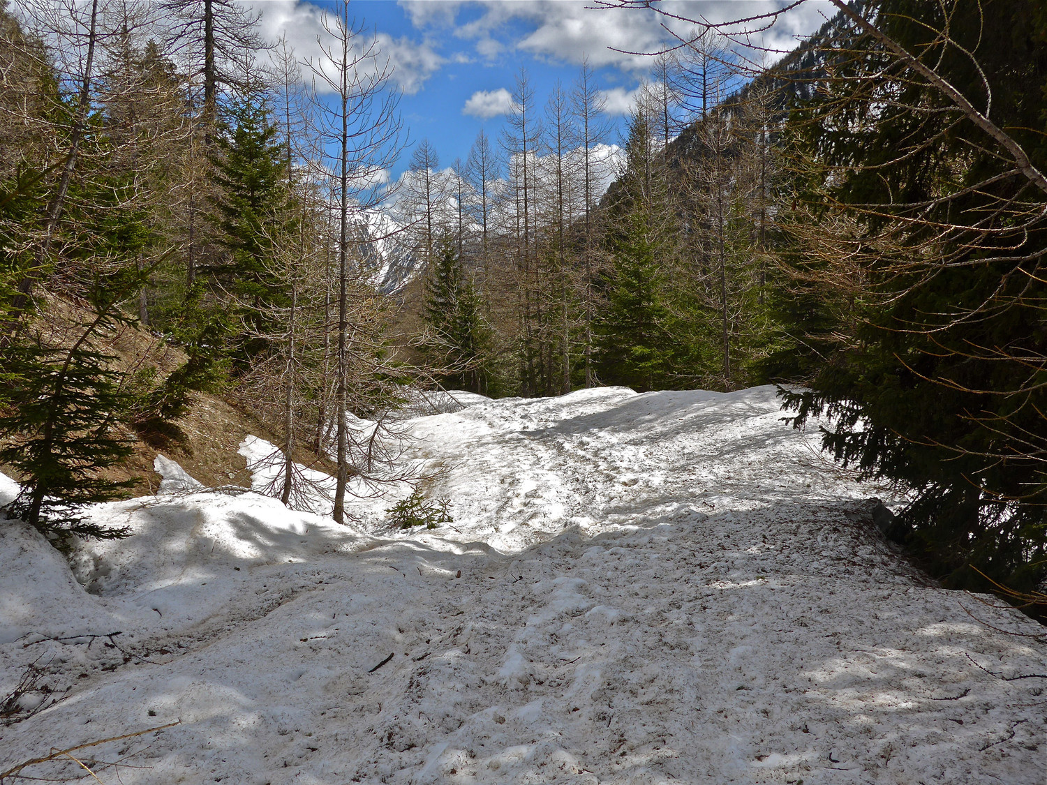 La piste est bien bosselée tout le long de la descente.