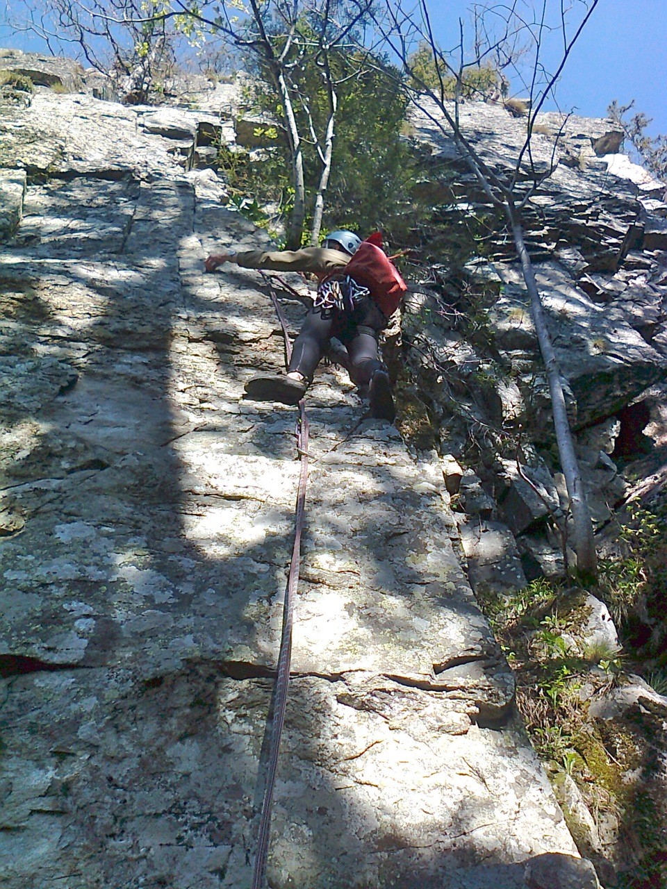 Début de L1