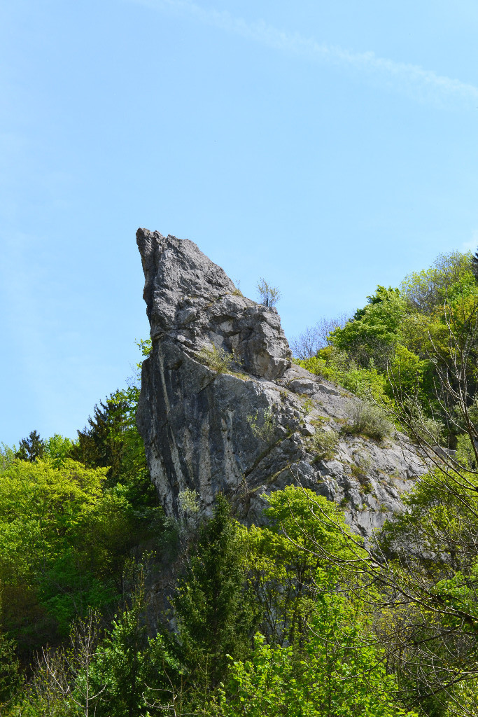 L'Aiguillette de Saint Cassin