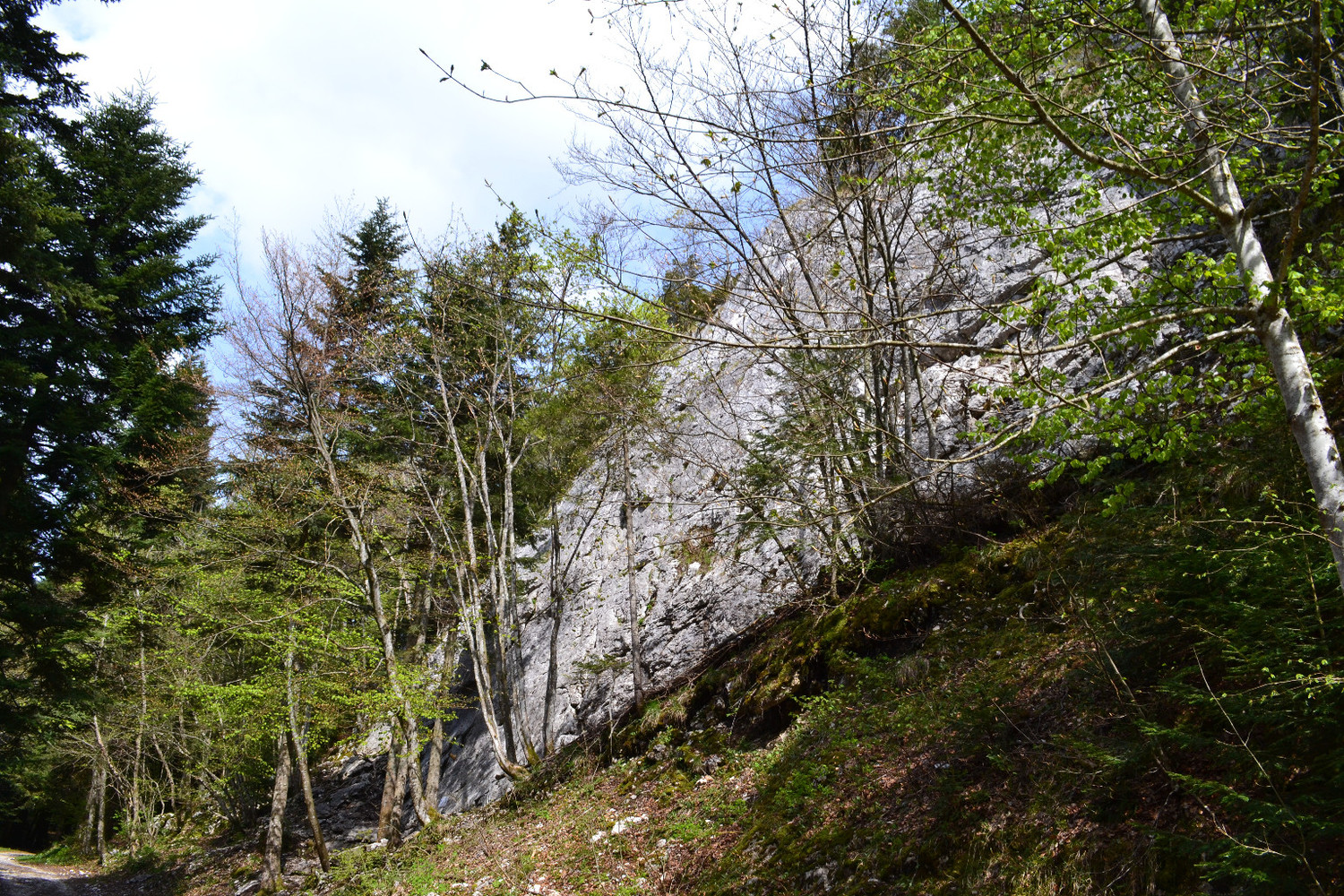 Col de l'Epine