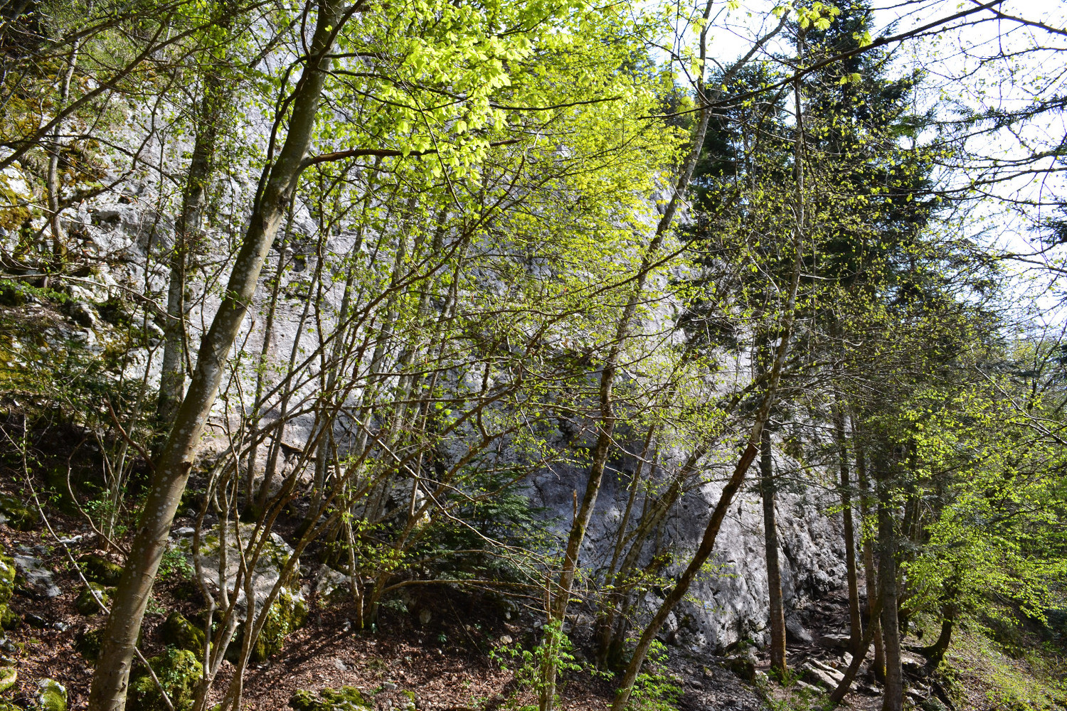 Col de l'Epine