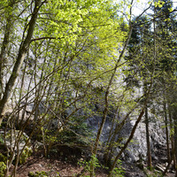 Col de l'Epine