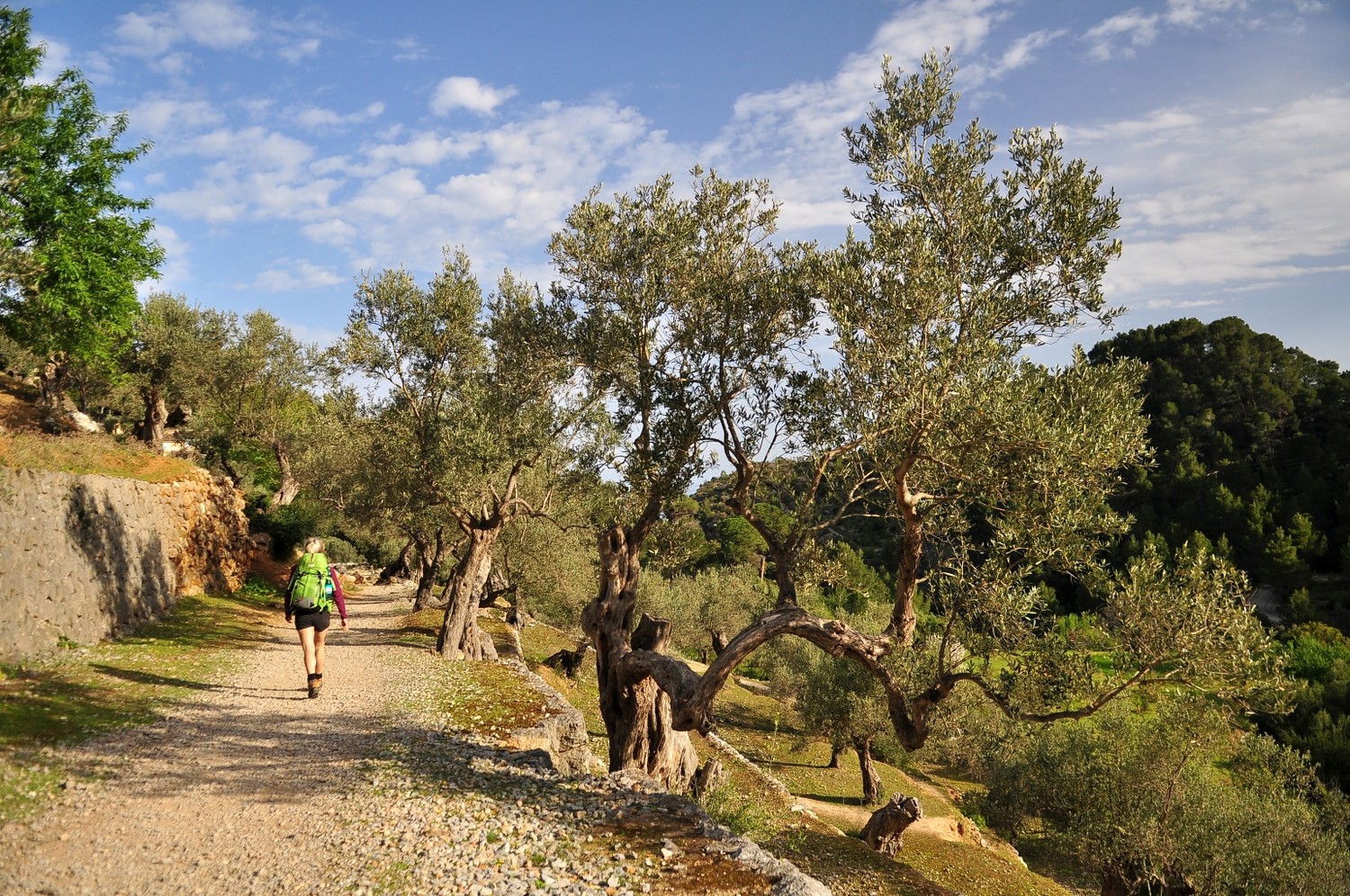 en allant vers la Cala Deia
