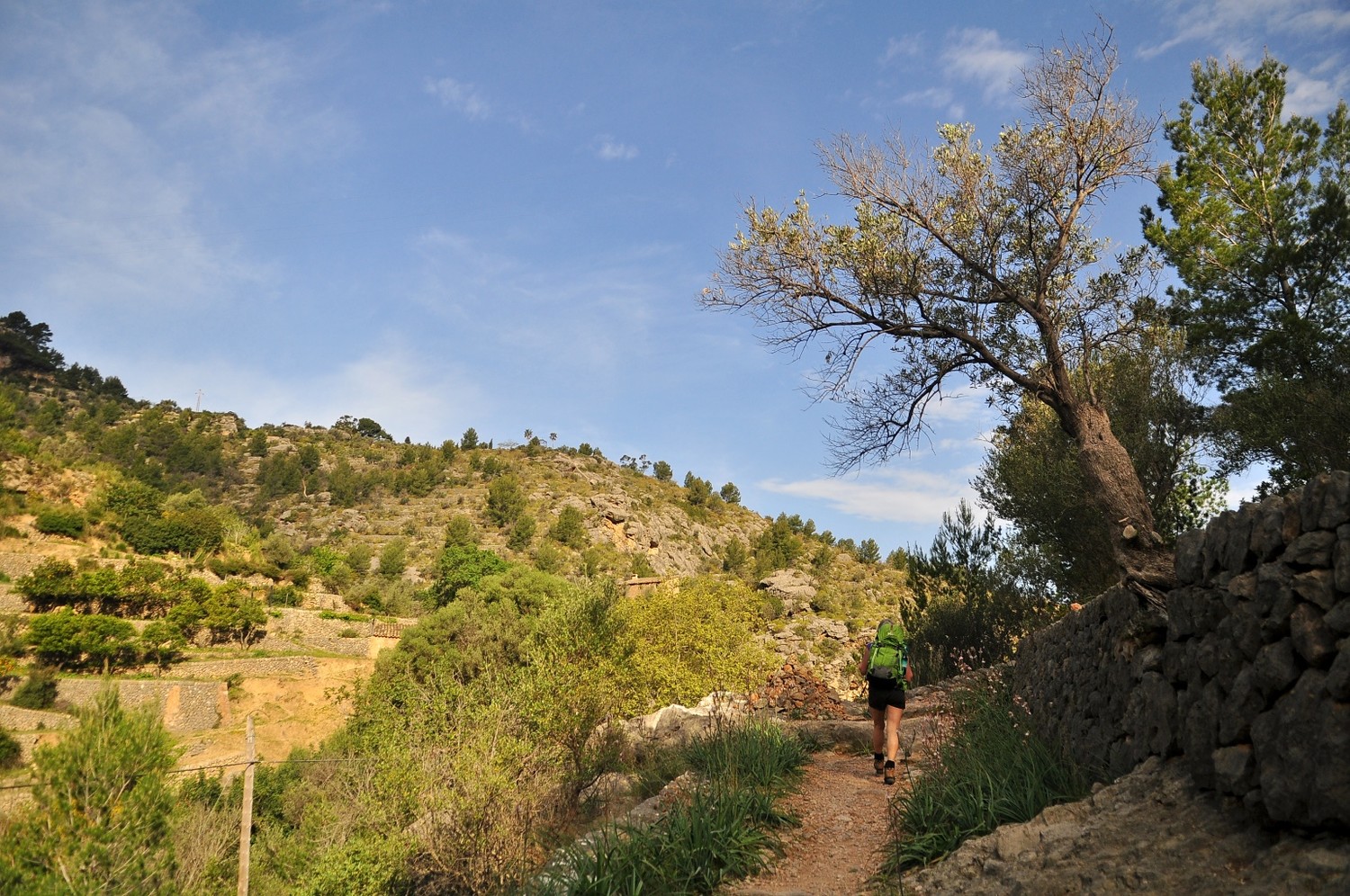 montée au-dessus de la cala Deia vers Porto Soller
