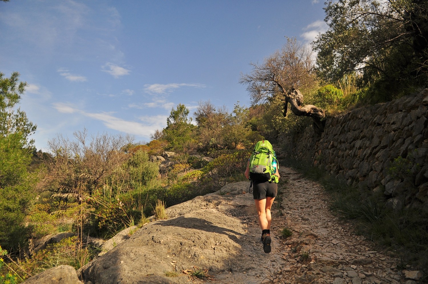 camino por Puerto Soller
