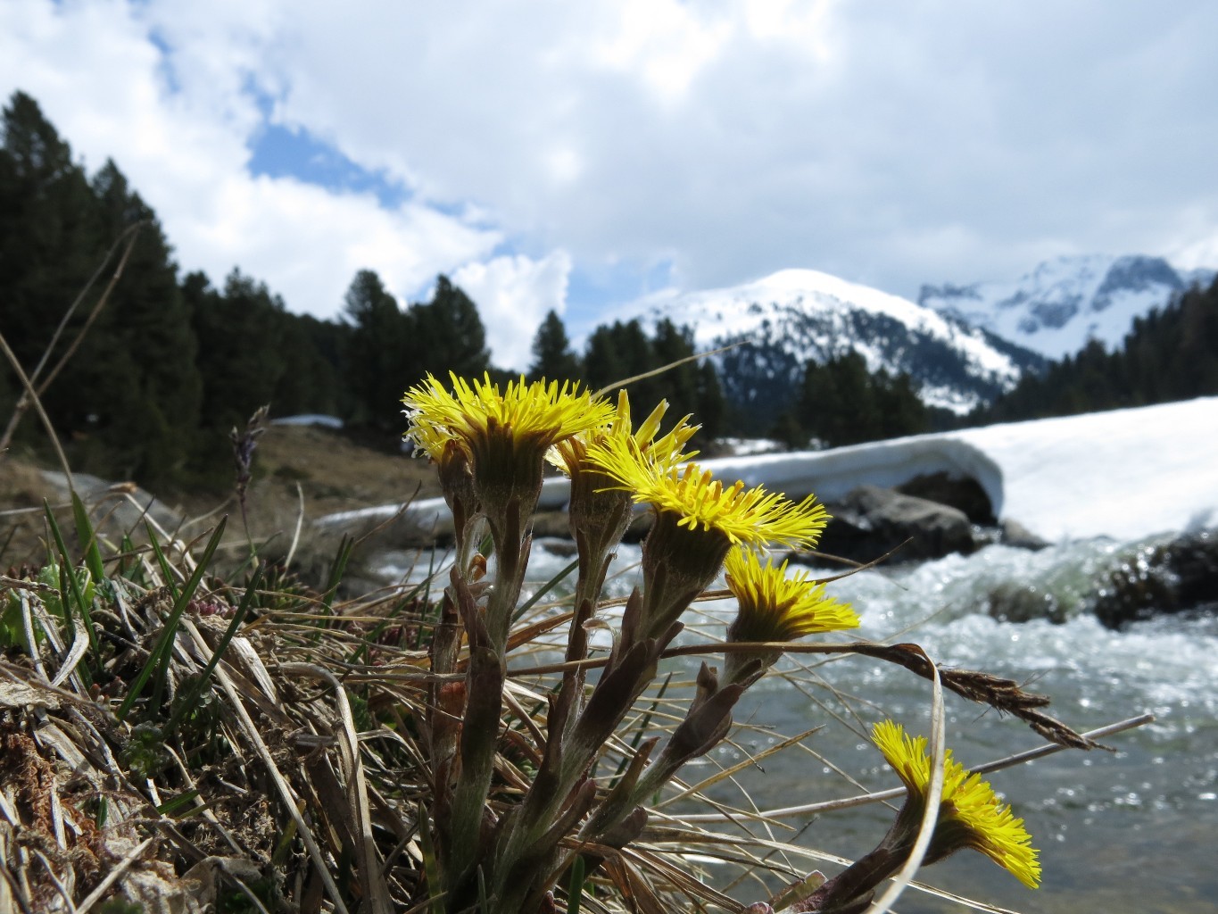 Adieu le Val S-Charl