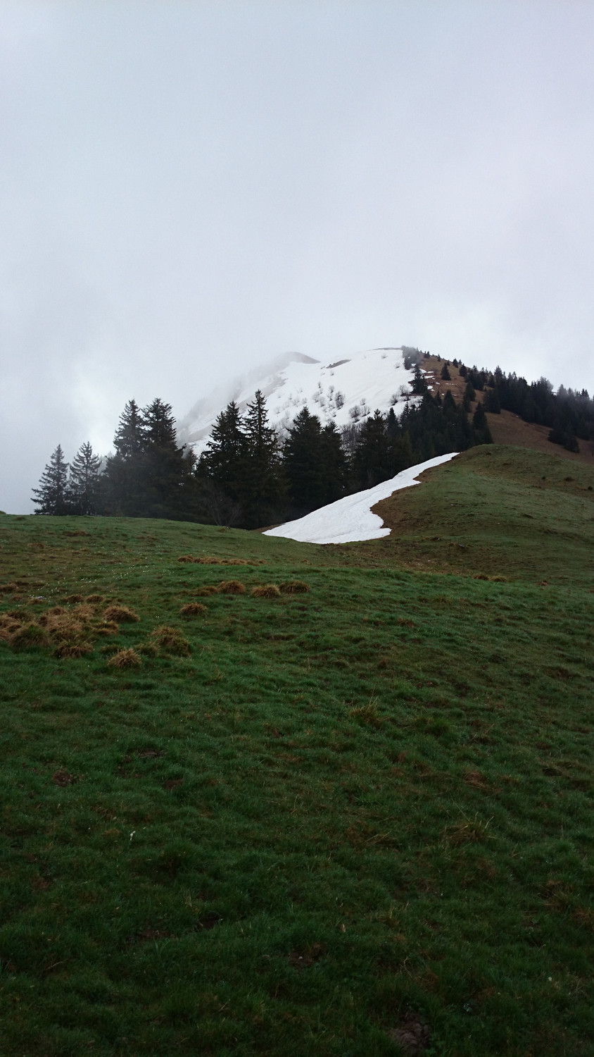 Vue sur le sommet et son versant N depuis Plan Meulet