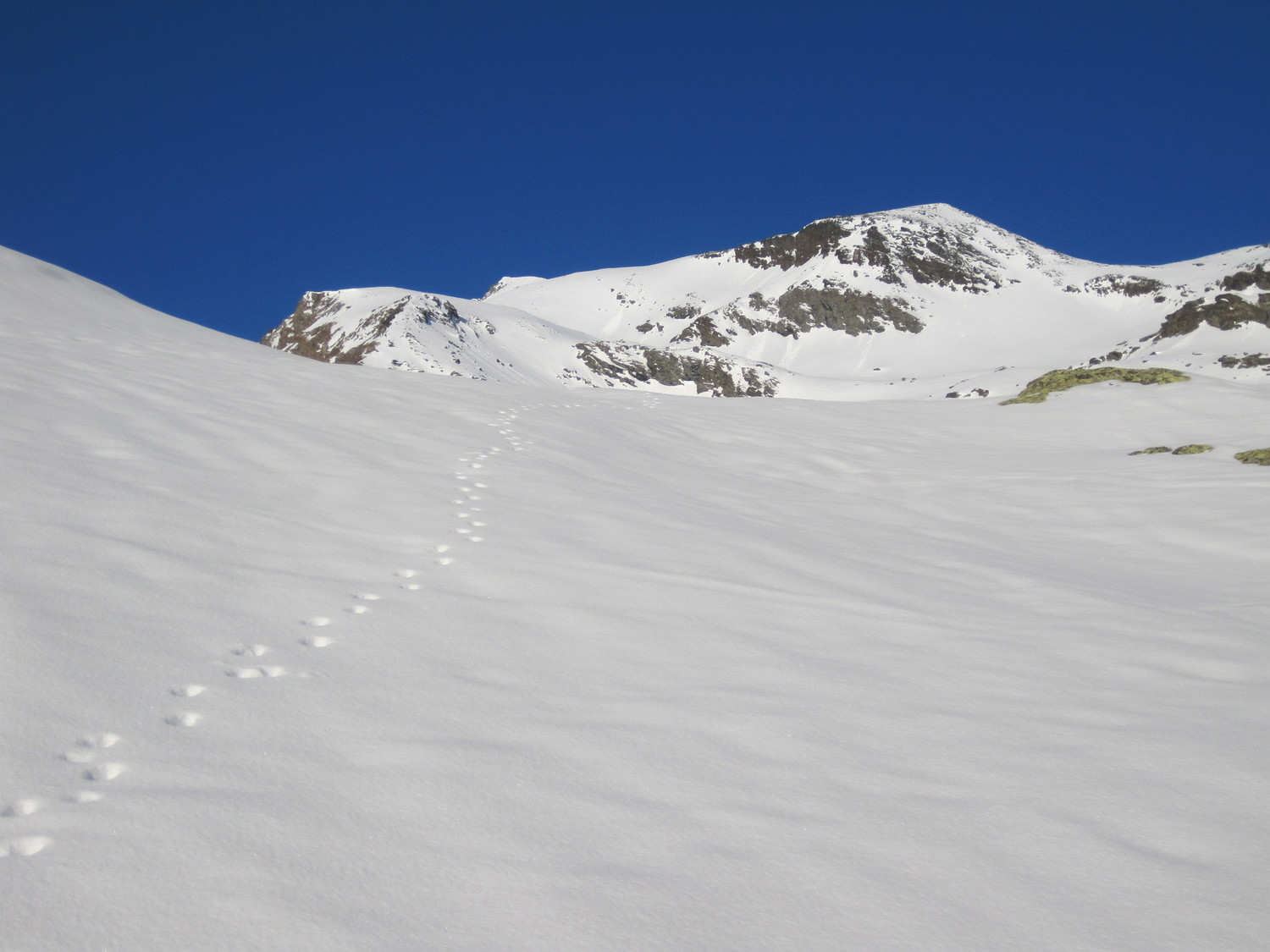 Tracce verso la Rossa