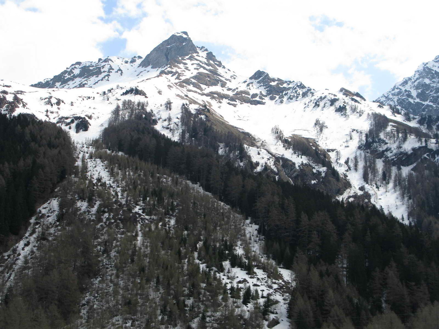 Salacina oggi