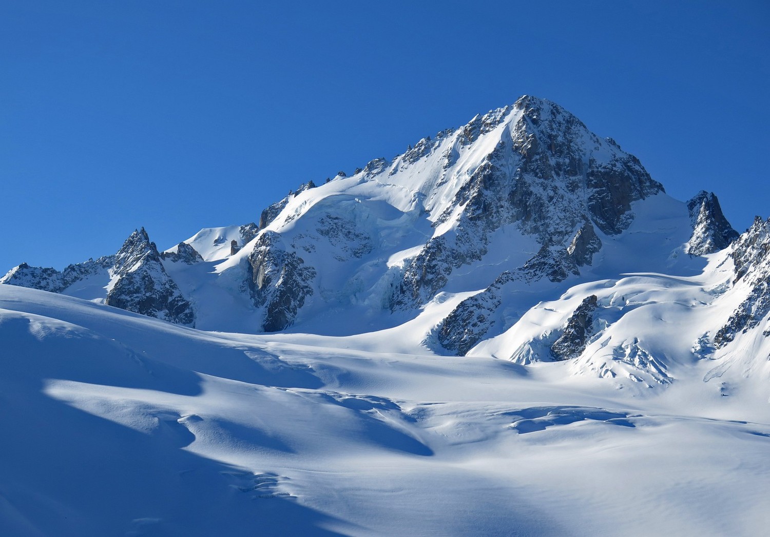 The Boss, Mr Chardonnet