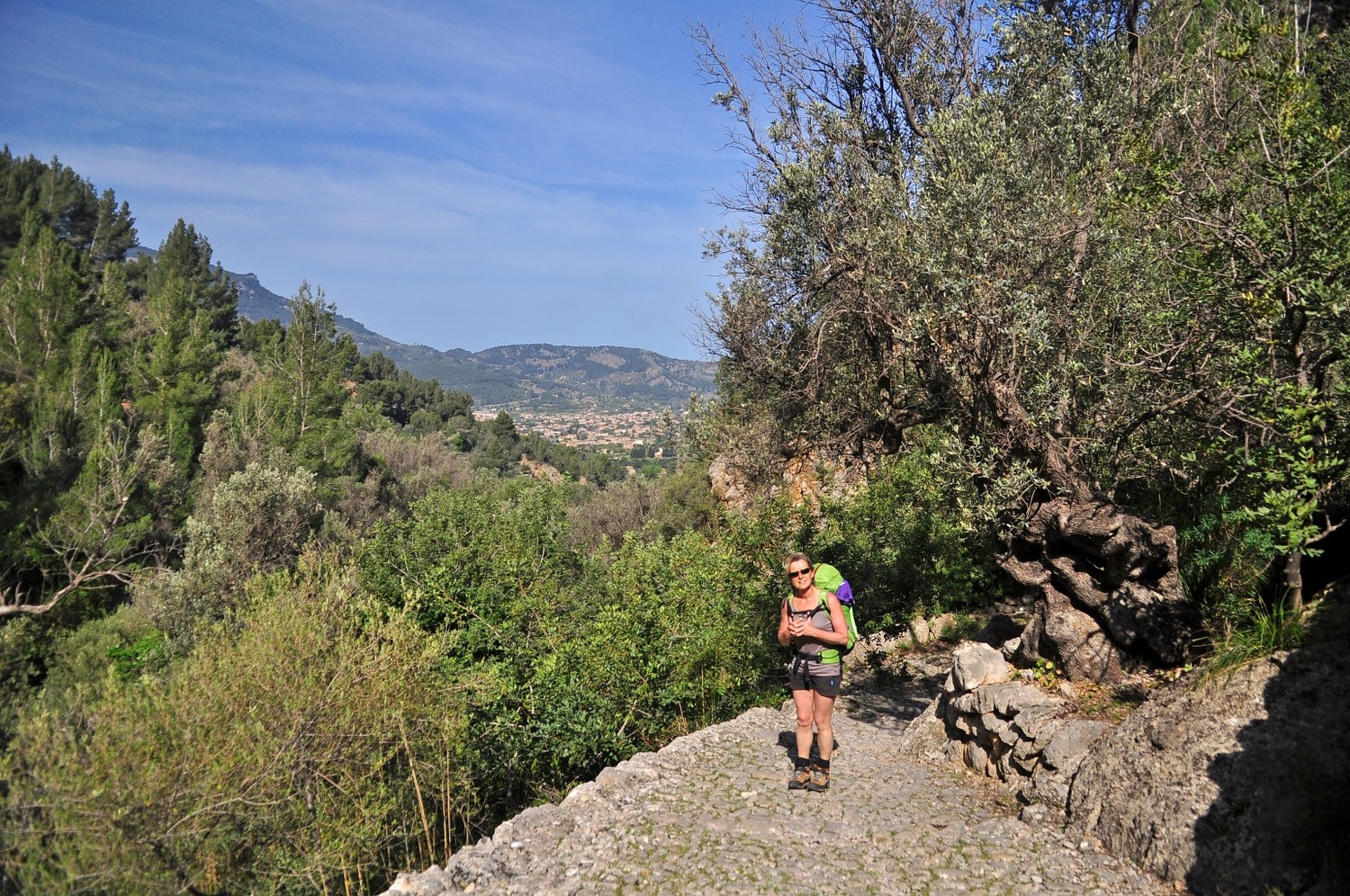 chemin faisant pavé