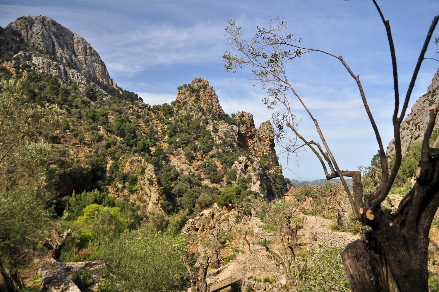 sur le cami de barranc de Biniaraix