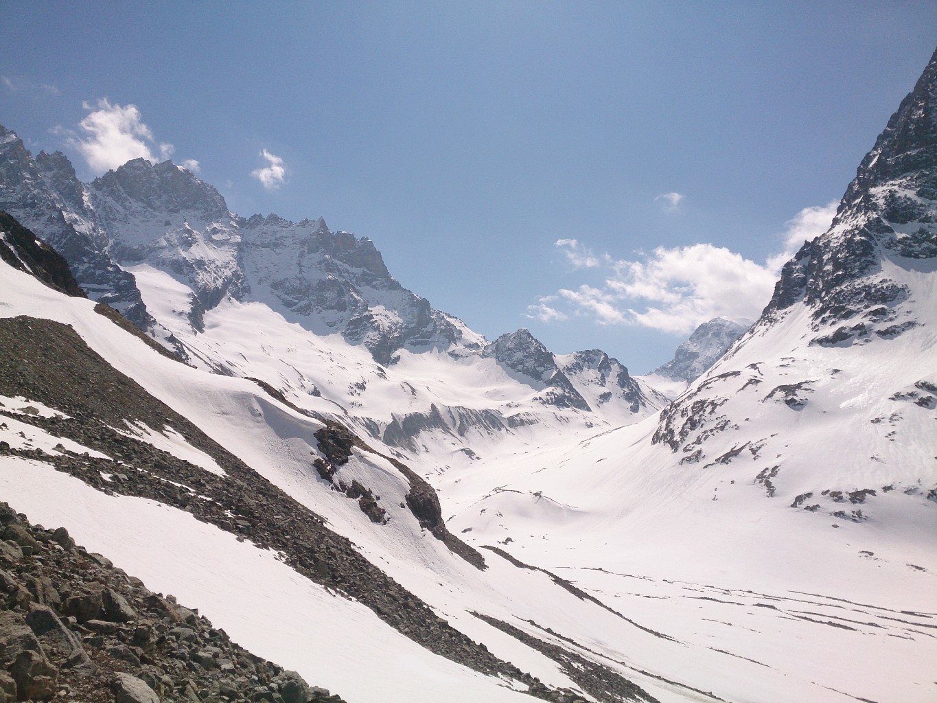 Haut Glacier d'Arolla et les Bouquetins