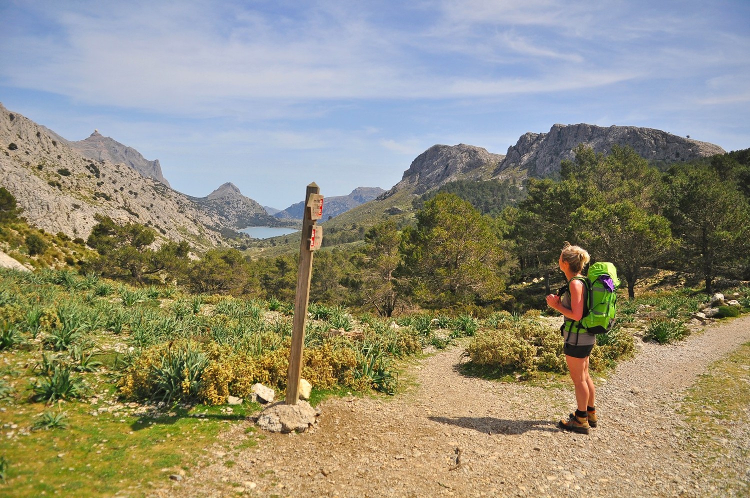 au coll de l'ofre
