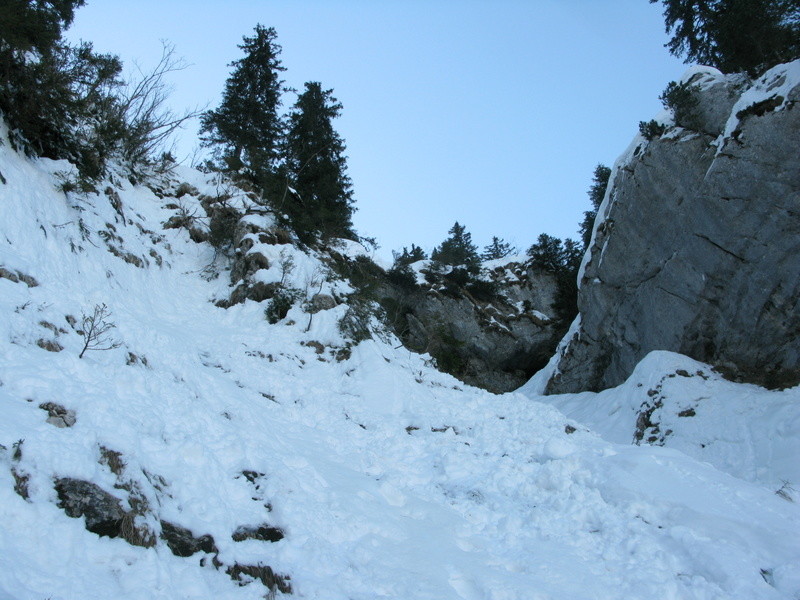 vue vers le haut