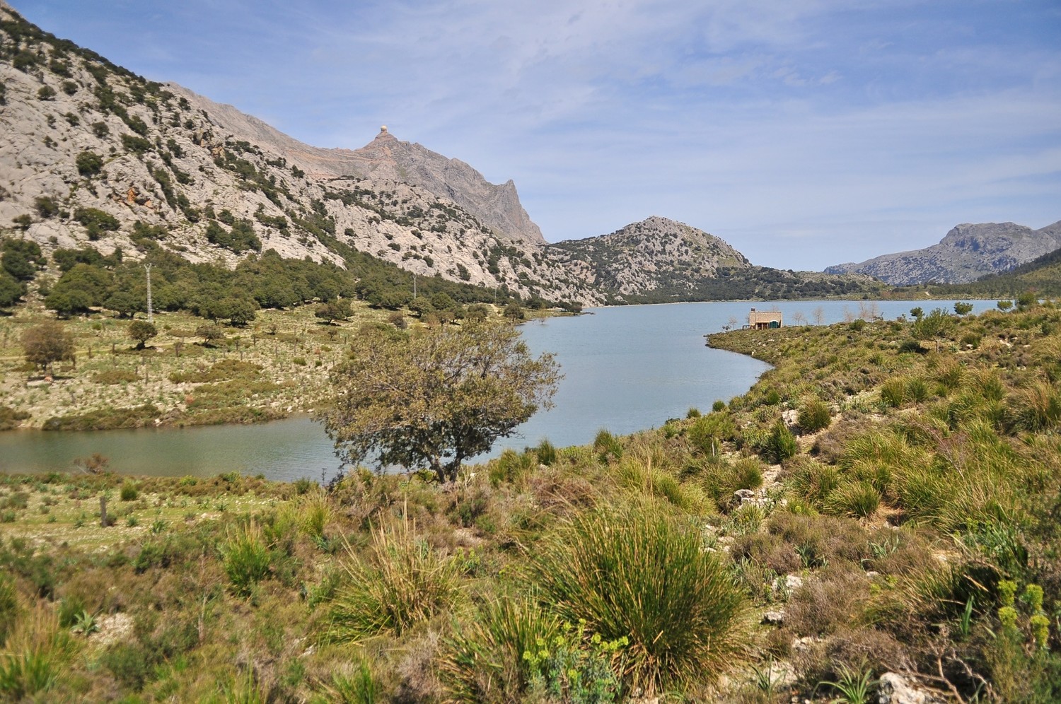 lac Cuber