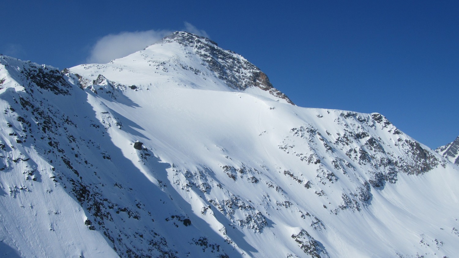 Vista Boshorn