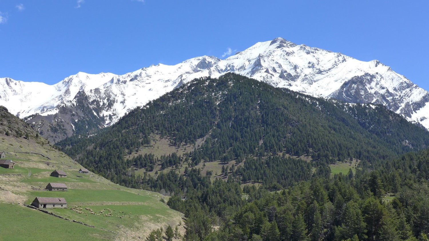 Granges de Biados