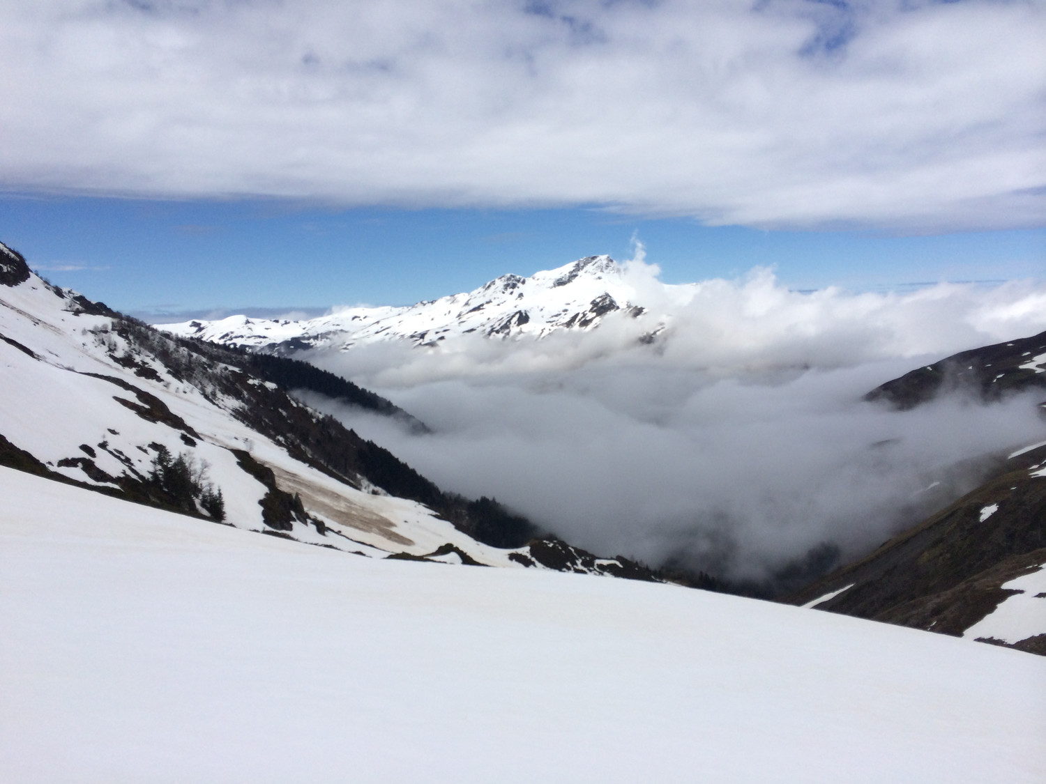 Le montaigu au dessus des nuages