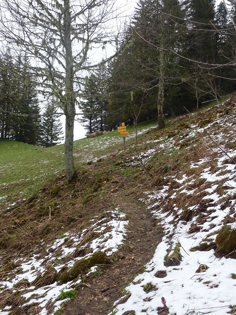 Col de la Saulce