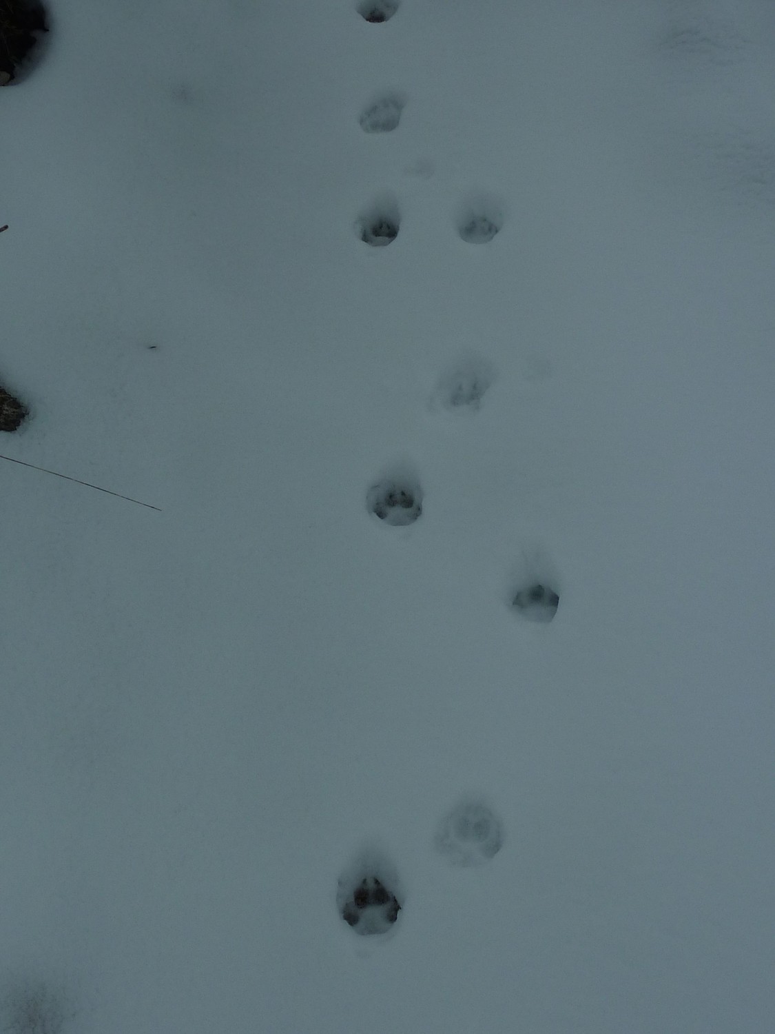 traces...