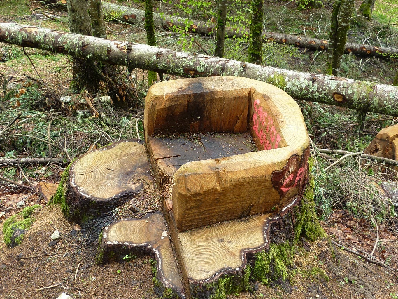 confort rustique
