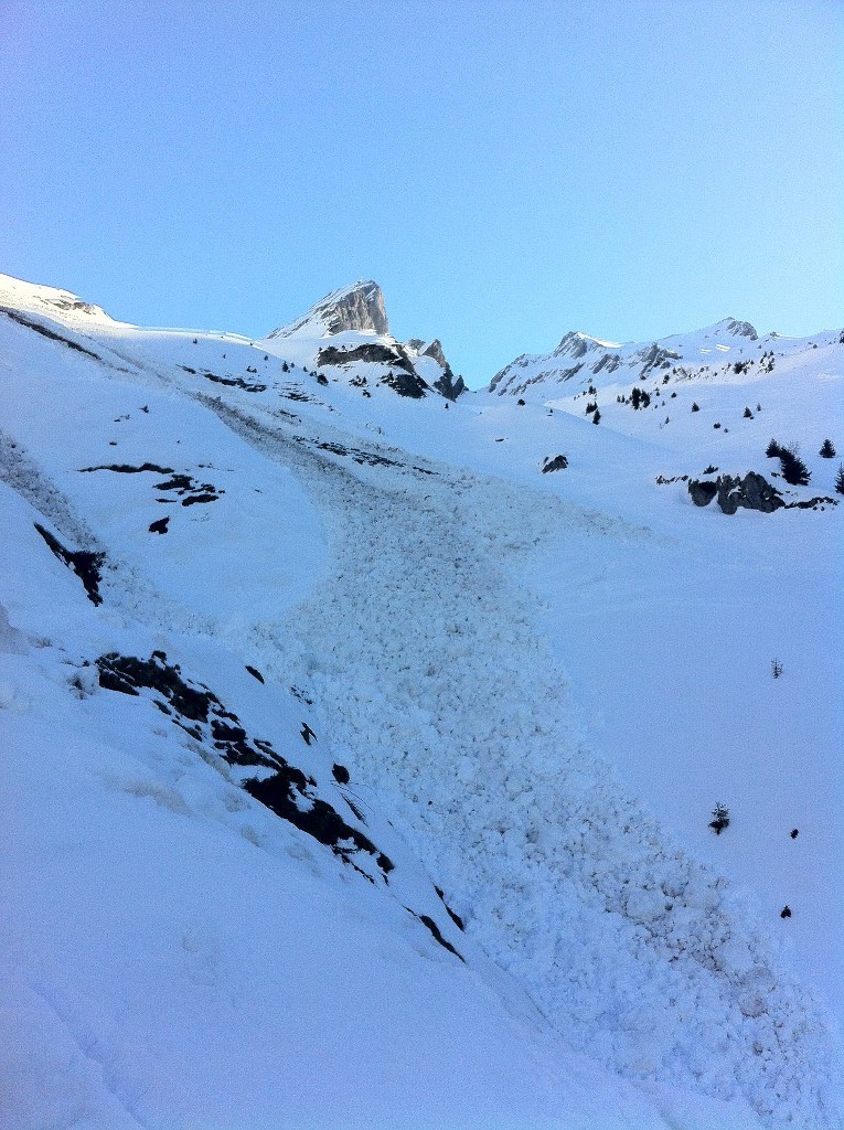 Blonnière