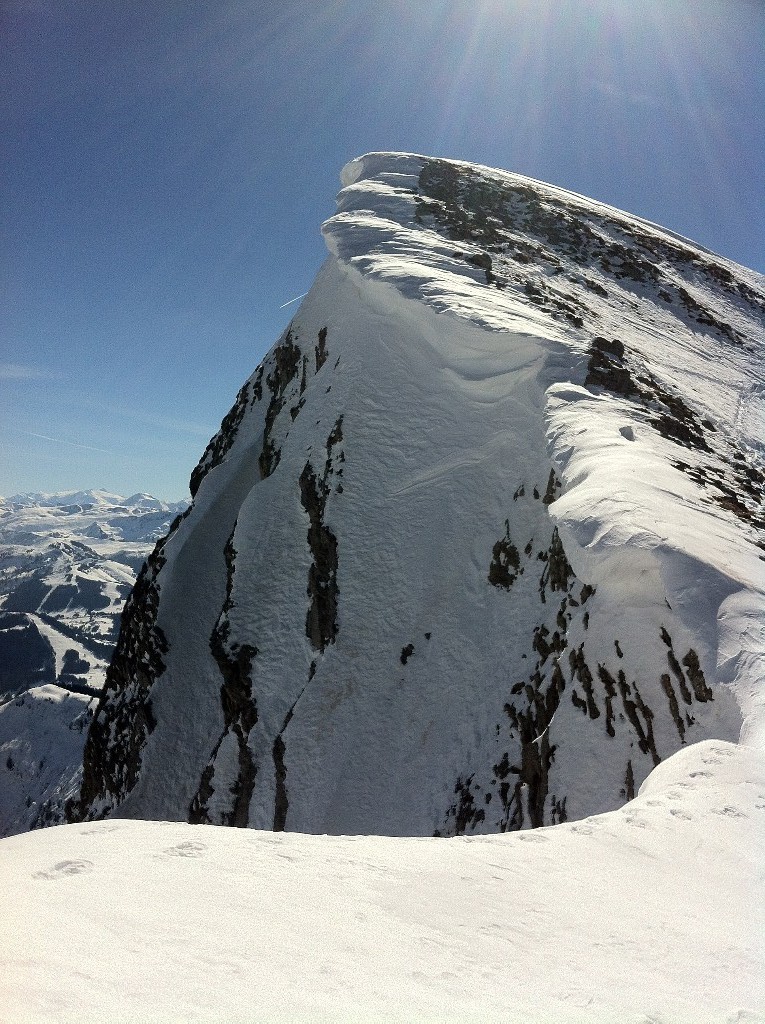 Blonnière