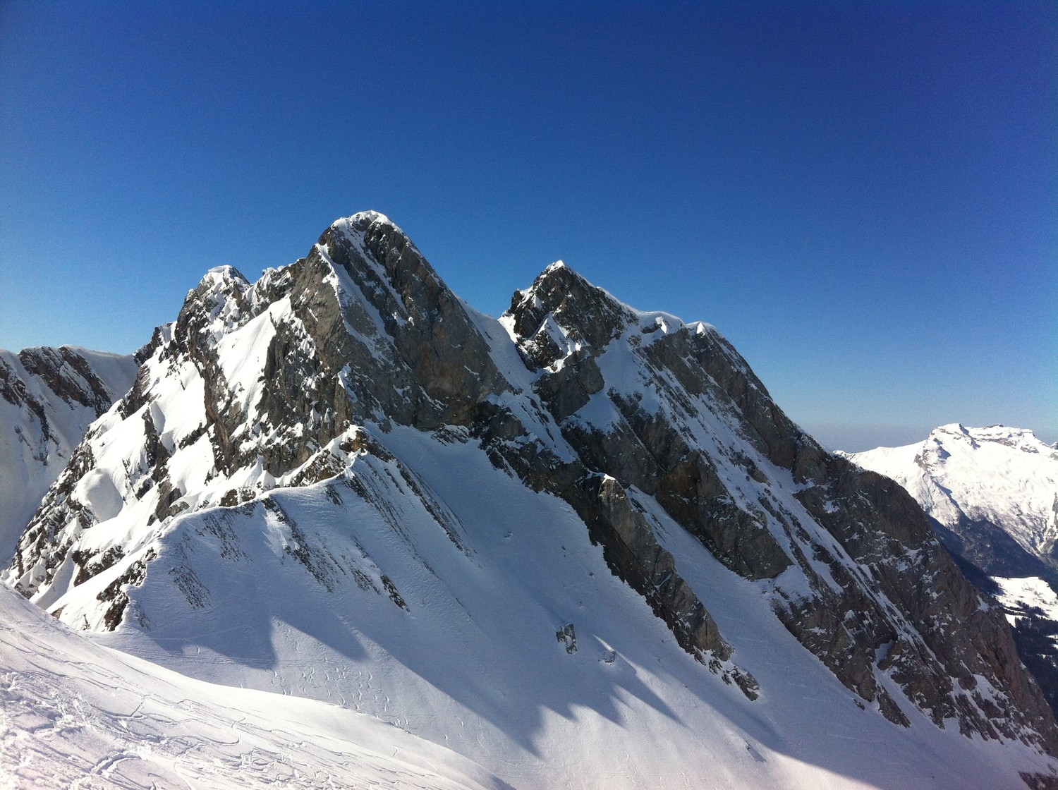 Blonnière