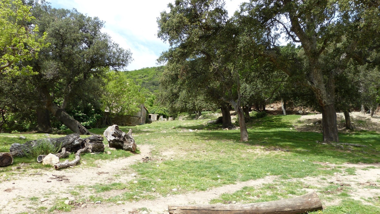 Réquecens