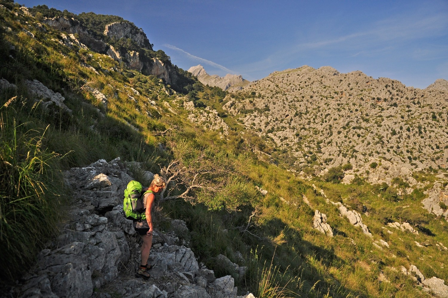descente Pareis