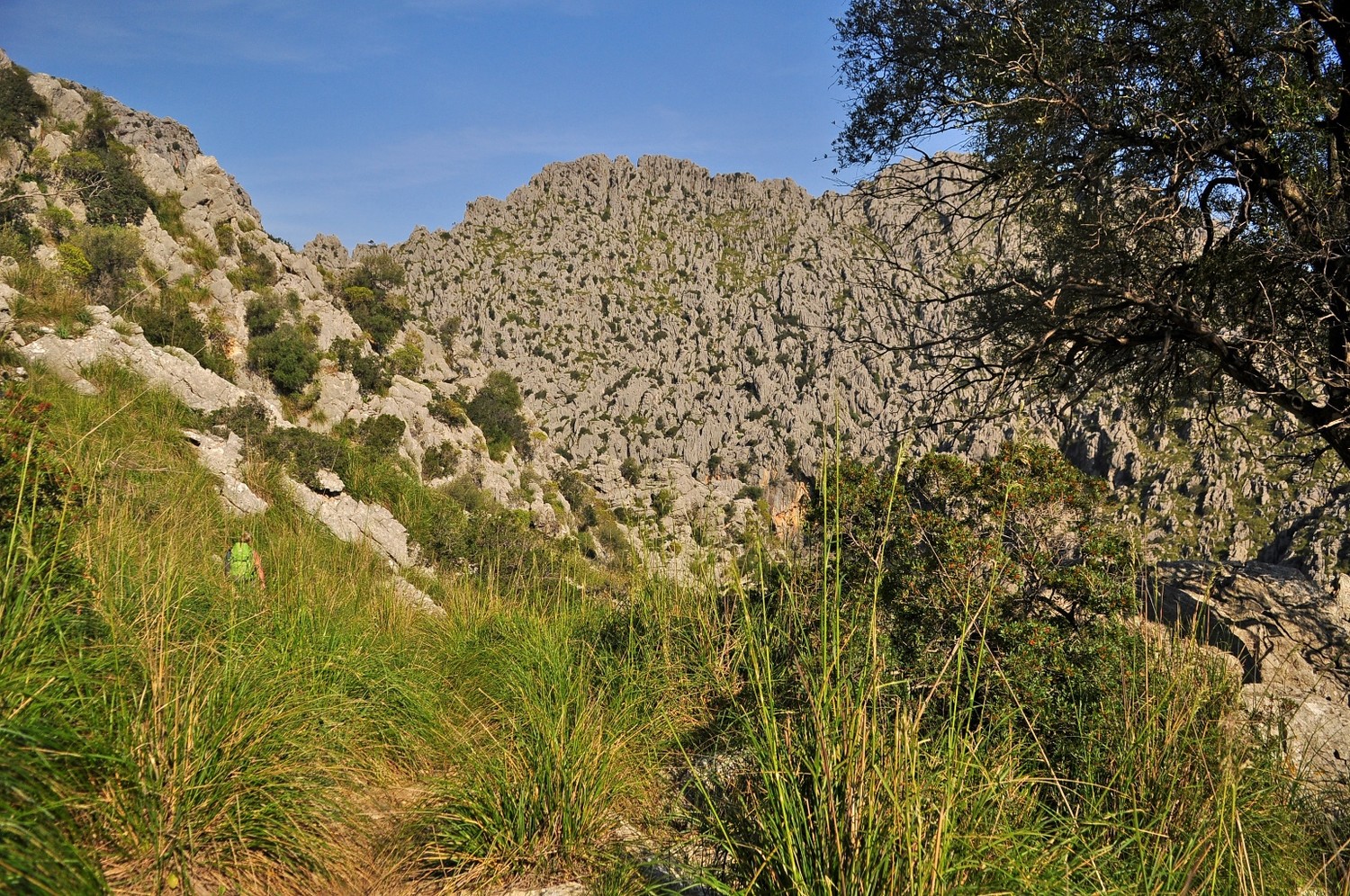 descente vers le lit du Torrent de Pareis toujours **