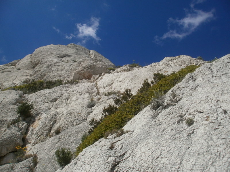Vue du départ