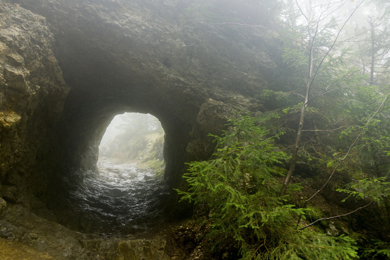 through the rock