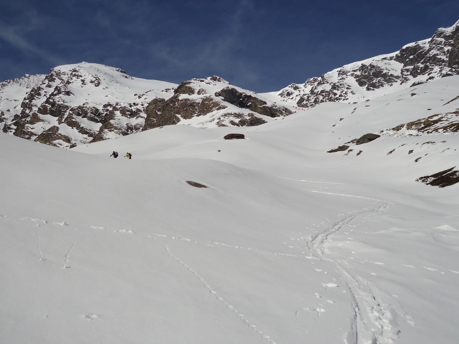 Plattes des Chamois