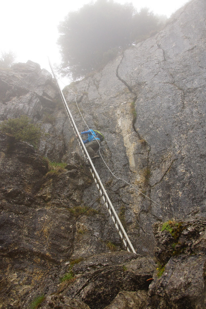 Ladder not as scary as it looks