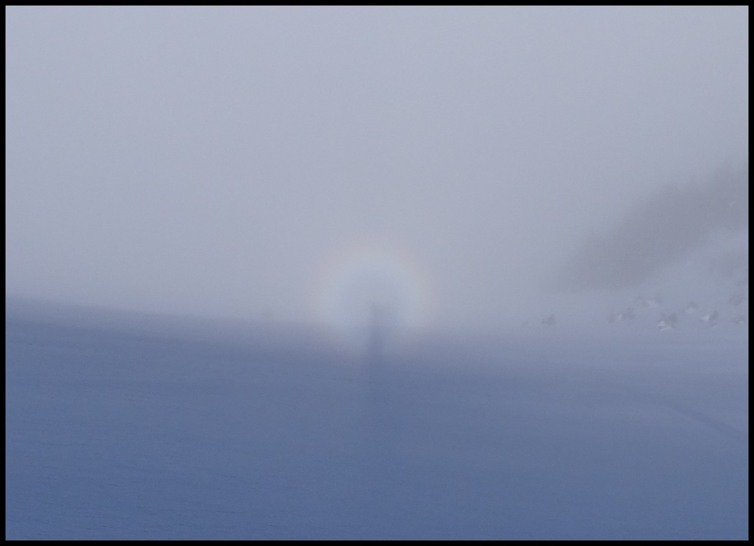 spectre