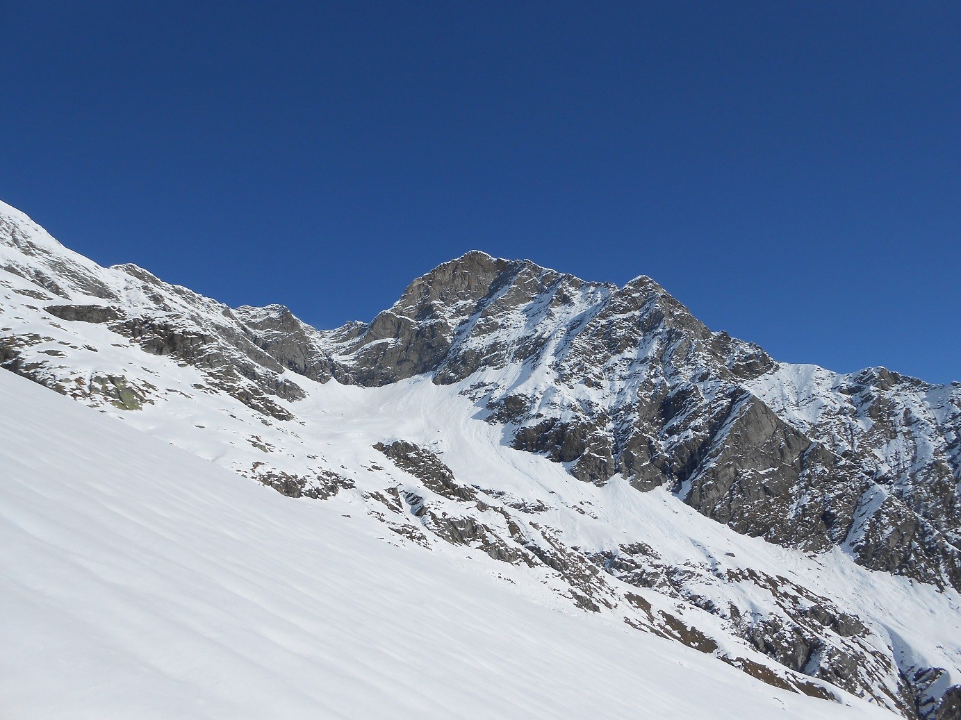 pizzo bianco