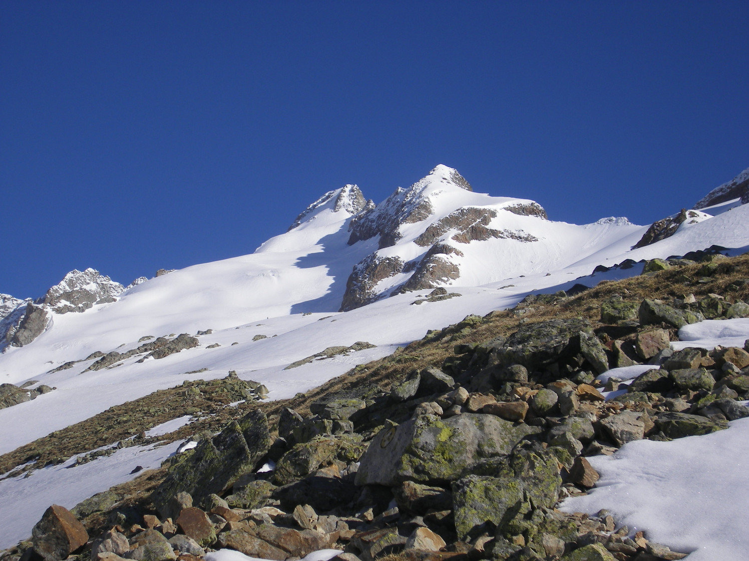 Objectif Mont Dolent en vue
