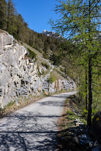 Montée vers Joli.