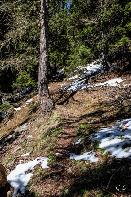 Le sentier entre Joli et Spilbielalpji.