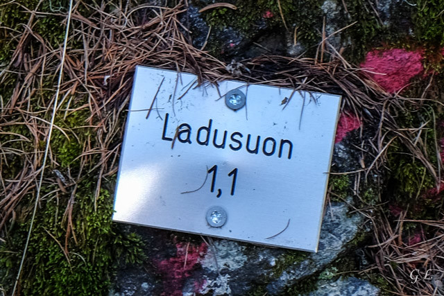 Le bisse de Ladusuon.