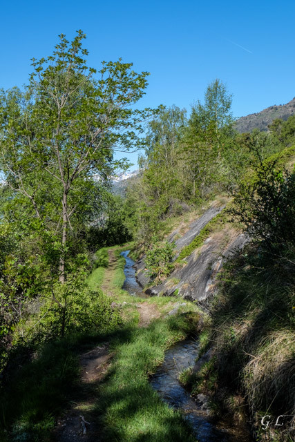 De Hohtenn à Lidu le long du bisse de Stägeru.