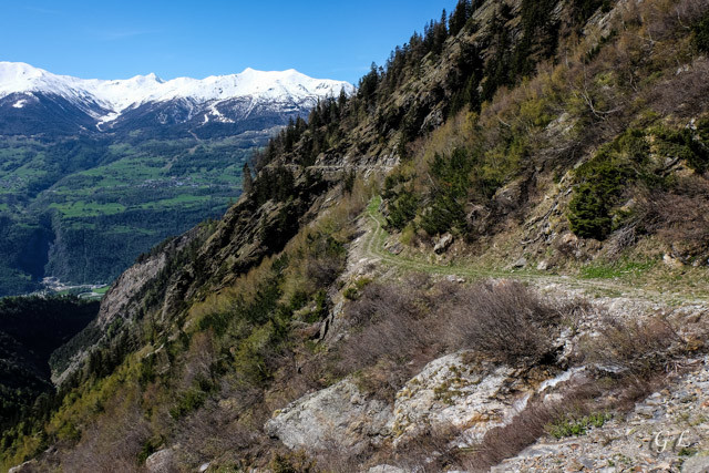 La montée vers Joli dans le district franc fédéral Wilerhorn.