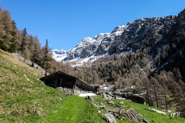 Arrivée à Joli.